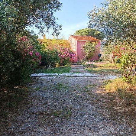 Maison De Vacances, Proche De La Plage Fréjus Esterno foto