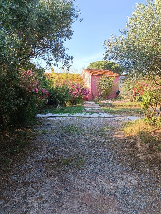 Maison De Vacances, Proche De La Plage Fréjus Esterno foto